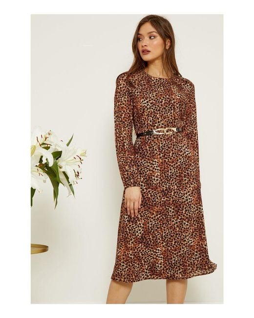 Sosandar Brown Animal Spot Print Fit & Flare Midi Dress