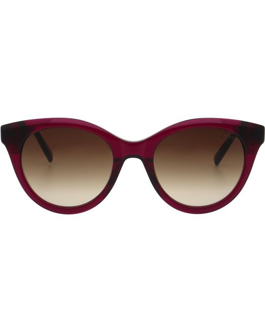 Ted Baker Brown Maja Sunglasses for men