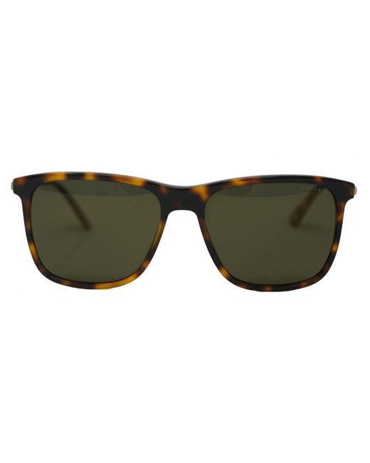 Police Green Spl572N 1Gzv Sunglasses for men