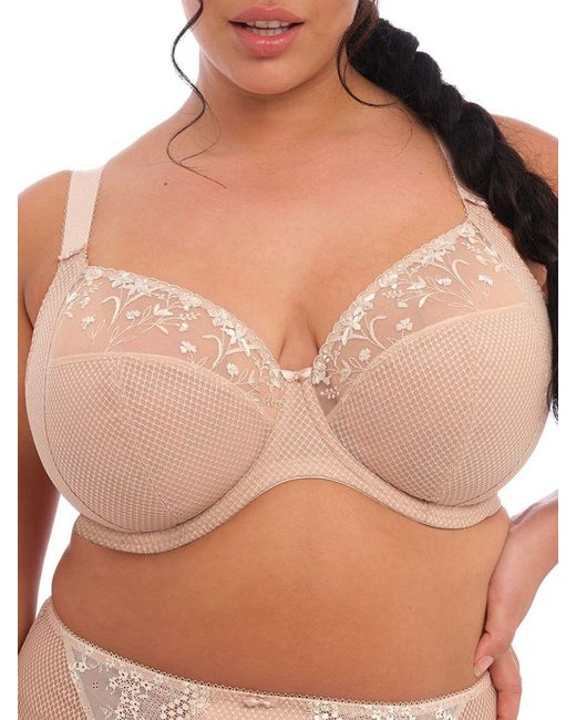 Elomi Brown Charley Side Support Plunge Bra