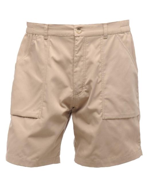 Regatta Natural New Action Shorts (Lichen) for men