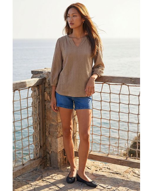 Roman Brown Broderie Detail Tunic Top