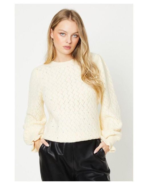 Oasis White Crystal Pointelle Sweater