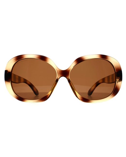 Montana Brown Butterfly Shiny Soft Demi Polarized Mp63