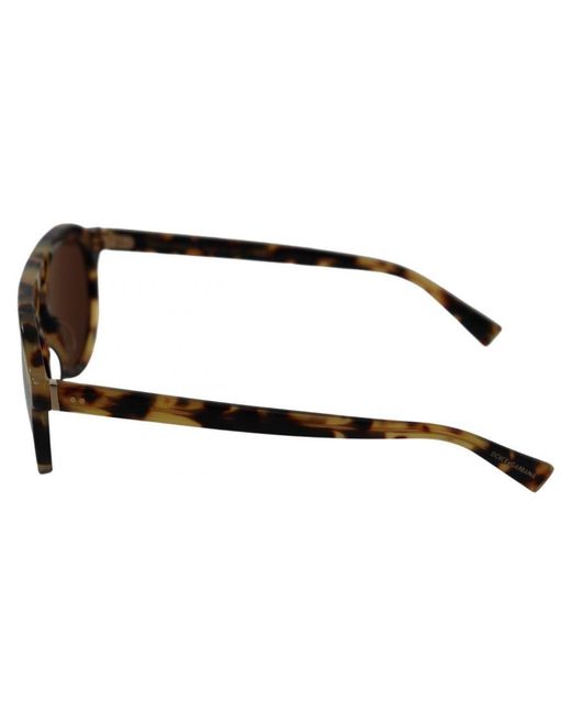 Dolce & Gabbana Brown Gorgeous Tortoise Oval Sunglasses