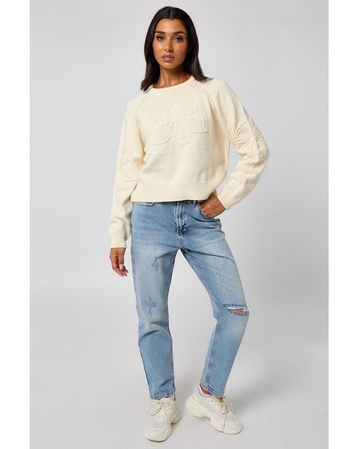 Urban Bliss Blue Crochet Embroidery Raglan Jumper