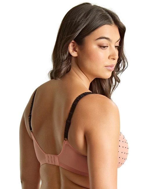 Panache Brown 11316 Gabrielle Plunge Bra