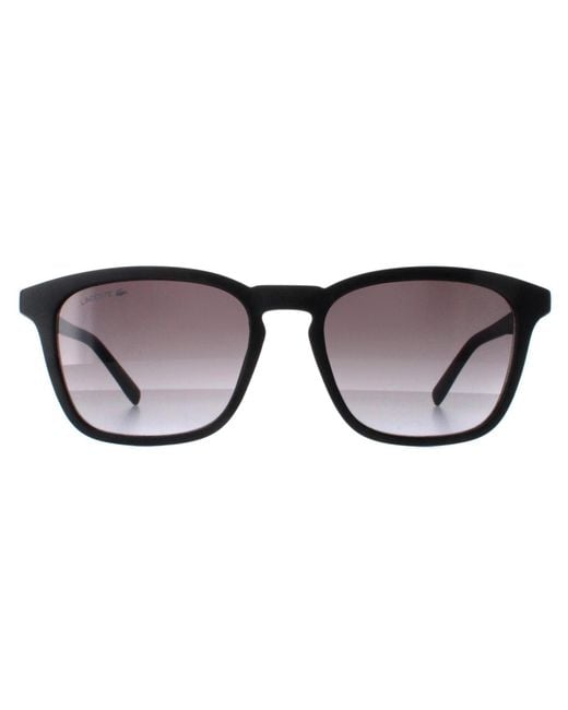 Ferragamo Brown Lacoste Square Matte Gradient L947S