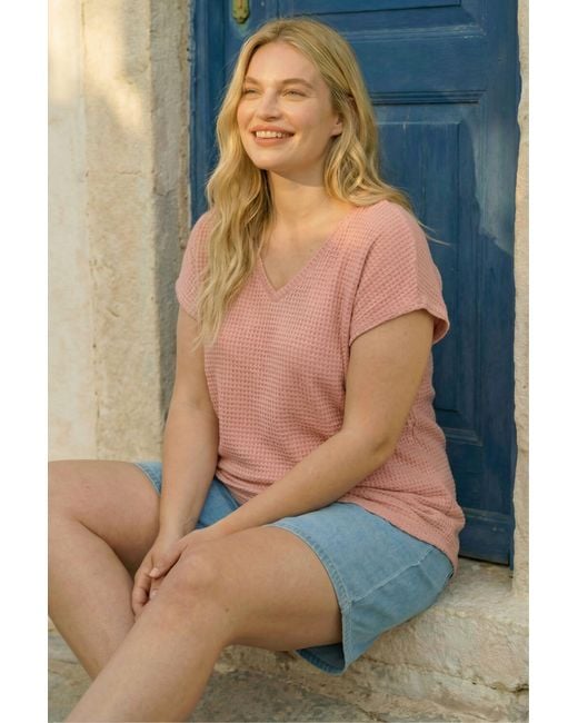 Roman Blue Curve Textured V-Neck Tunic Top