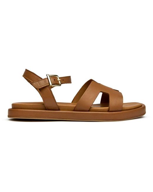 Sole Brown Norma Sandals
