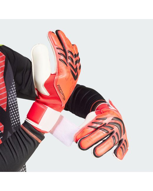 Adidas Originals Predator Match Goalkeeper Gloves