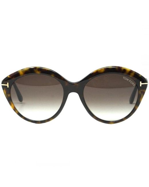 Tom Ford Brown Ft0763 52K Maxine Dark Havana Sunglasses
