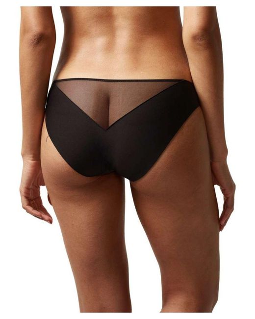 Chantelle Brown Magnetic Brief