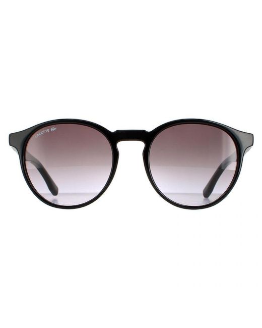 Lacoste Brown Round Sunglasses for men