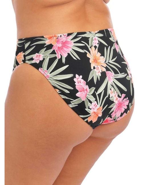 Elomi Black Dark Tropics Bikini Brief