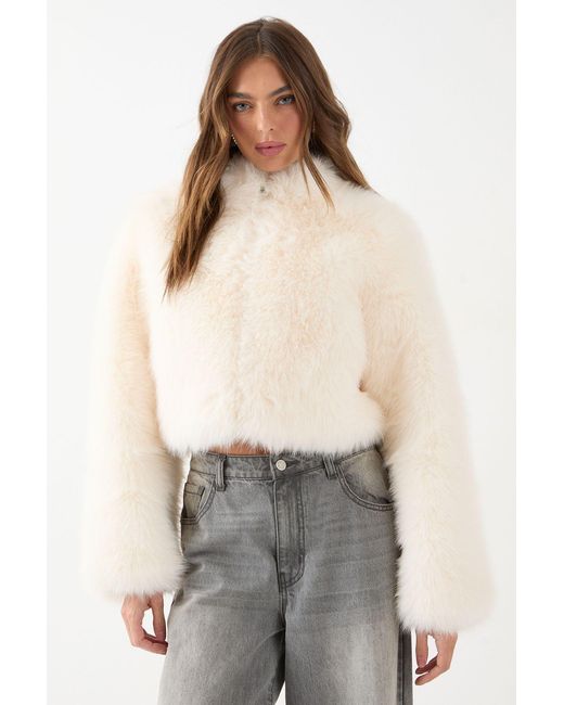 MissPap Multicolor Cropped Faux Fur Jacket