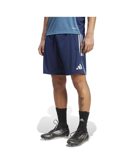 Adidas Blue Training Shorts 2025 2026 for men