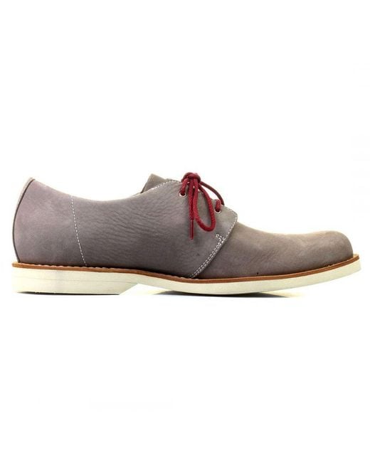 Timberland Brown Stormbuck Grey Shoes for men