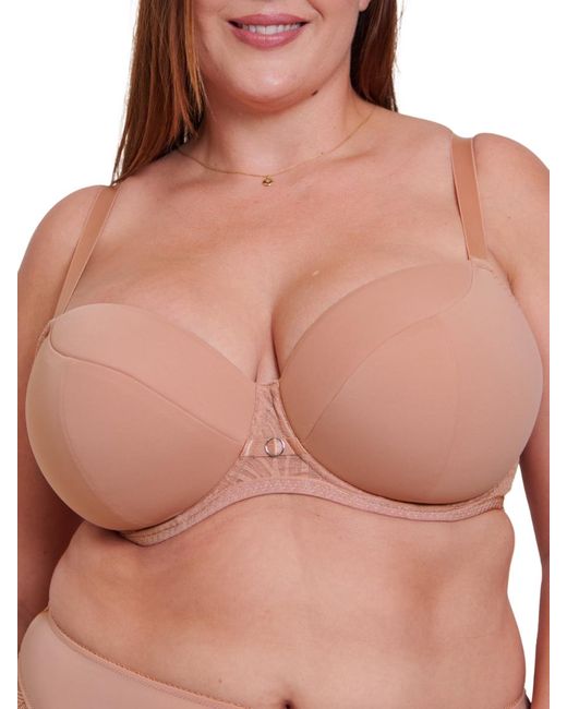 Curvy Kate Brown Daze Padded T-Shirt Balcony Bra