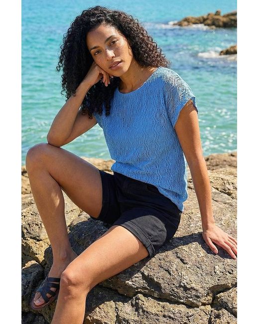 Roman Blue Lace Overlay Stretch Top