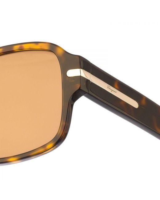 Ferragamo Brown Square Shaped Acetate Sunglasses Sf1038S