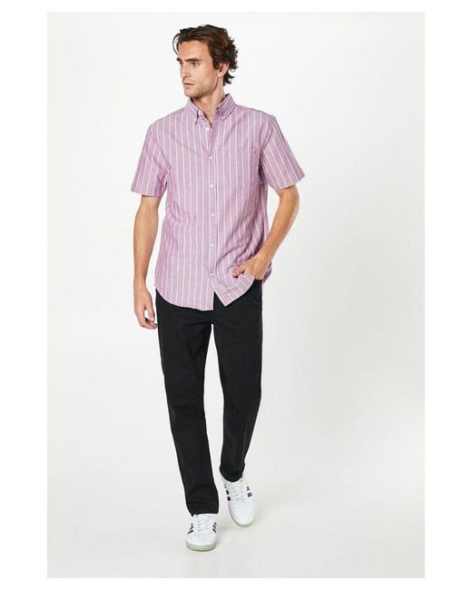 MAINE Purple Wide Stripe Oxford Short Sleeve Shirt for men