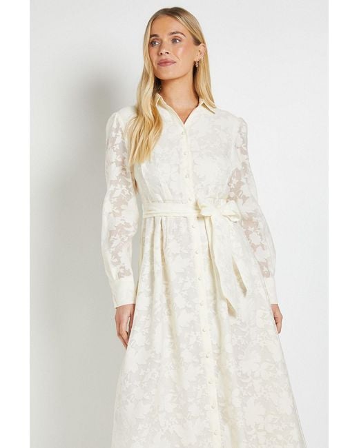 Wallis Natural Petite Floral Organza Belted Midi Dress