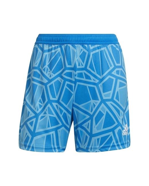 Adidas Blue Ls Goal Jersy for men