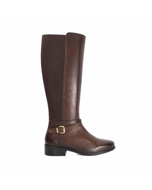 Dune Brown Ladies Teine