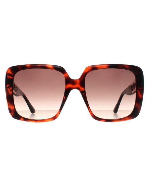 Guess Brown Square Dark Havana Gradient Gu7689
