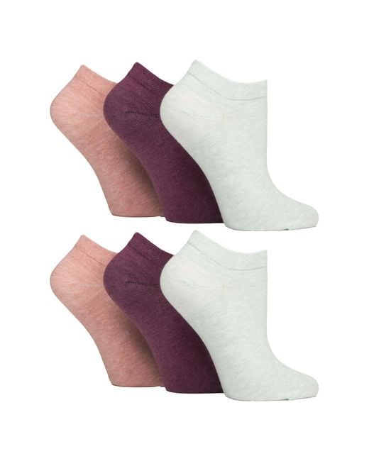 Gentle Grip Purple 6 Pack Diabetic Trainer Socks For