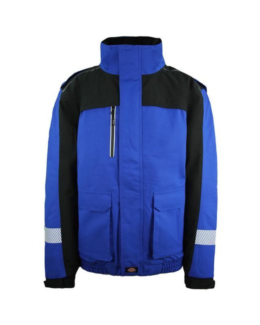 Dickies Blue Winter Work Waterproof Royal/ Coat for men