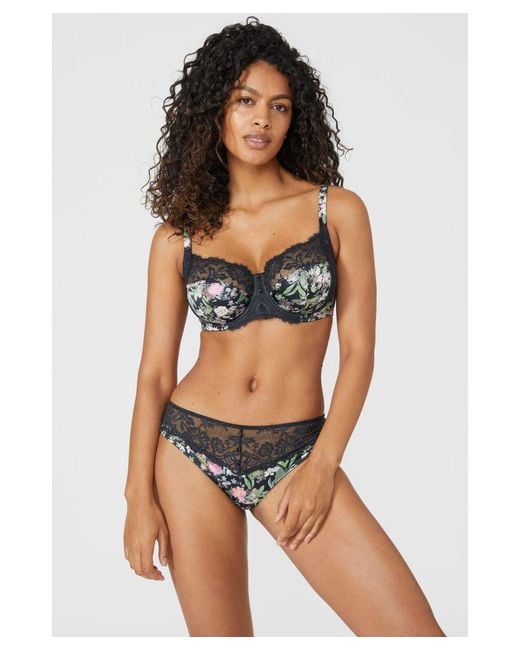 Gorgeous Brown Dd+ Fuller Bust Botanical Floral Lace Insert Balcony Bra