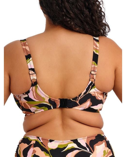 Elomi Black Ocean Avenue Plunge Bikini Top