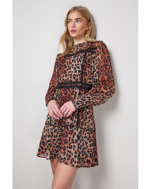 Oasis Multicolor Printed Lace Trim Long Sleeve Flippy Mini Dress