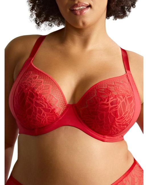 Panache Red Sophia Plunge Bra