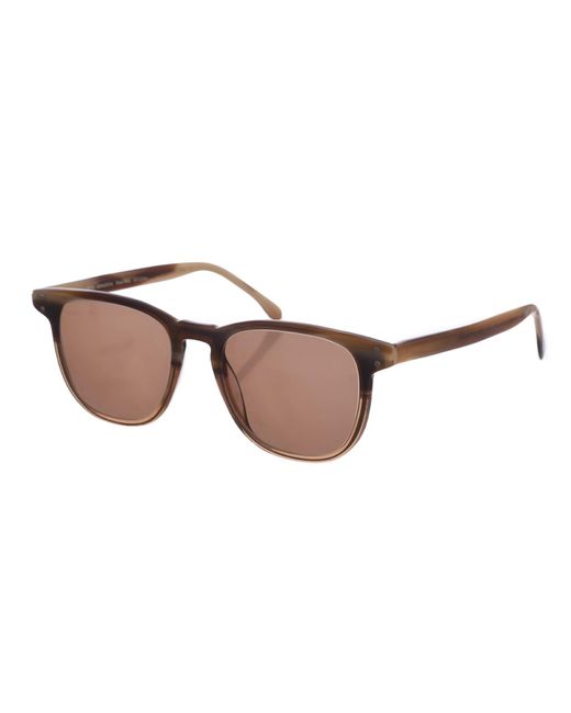Zen Brown Z434 Square Shape Acetate Sunglasses