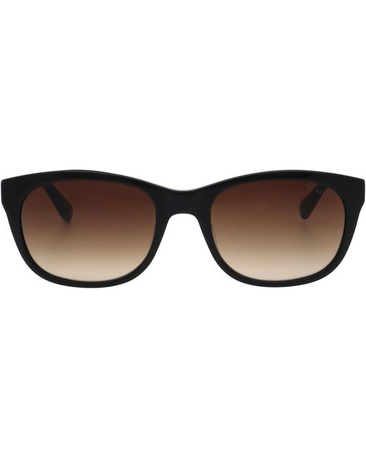 Ted Baker Brown Iona Sunglasses for men