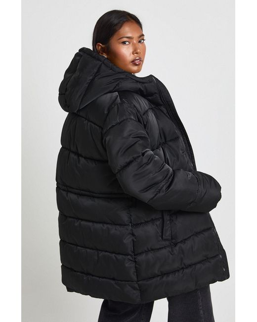 Boohoo Black Plus Synched Waist Puffer Jacket