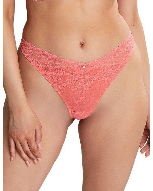 Cleo By Panache Orange 10479 Alexis Thong