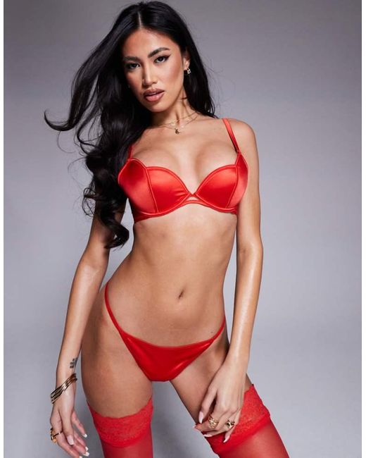 Bluebella Red Cara Scallop Bra