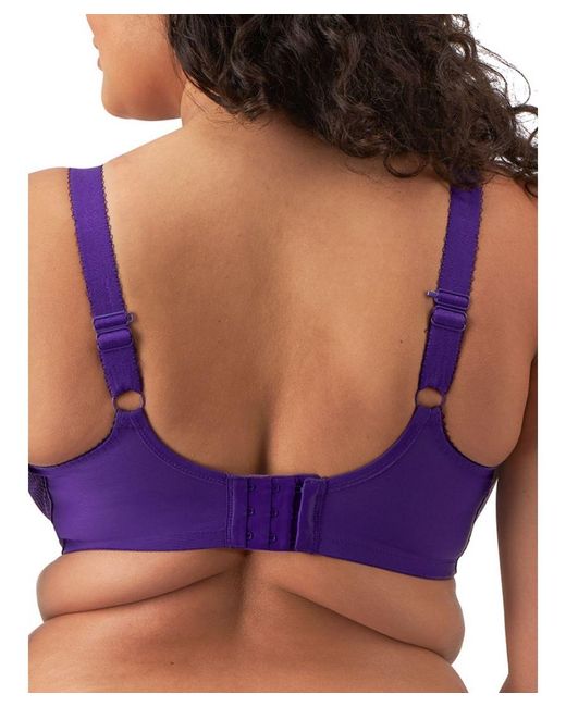 Elomi Purple Charley Side Support Plunge Bra