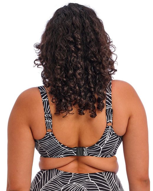 Elomi Blue Kata Beach Underwired Bikini Top