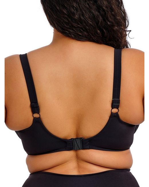 Elomi Blue Plain Sailing Wrap Plunge Bikini Top