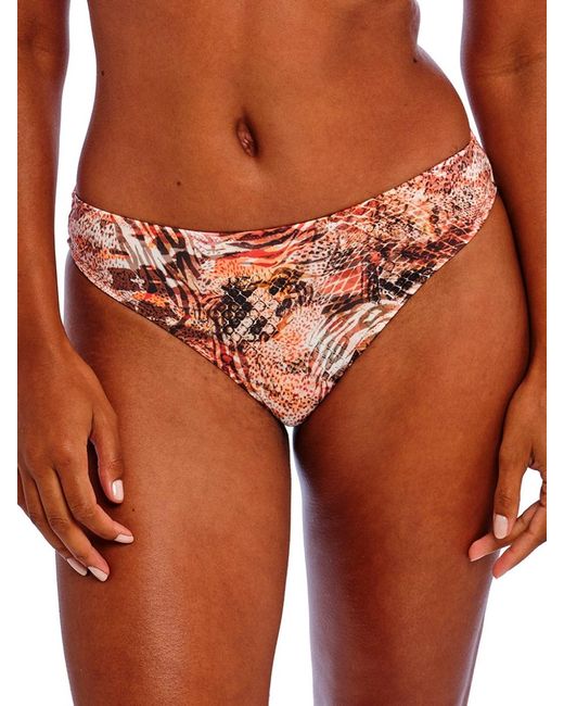 Freya Orange Desert Cat Bikini Brief