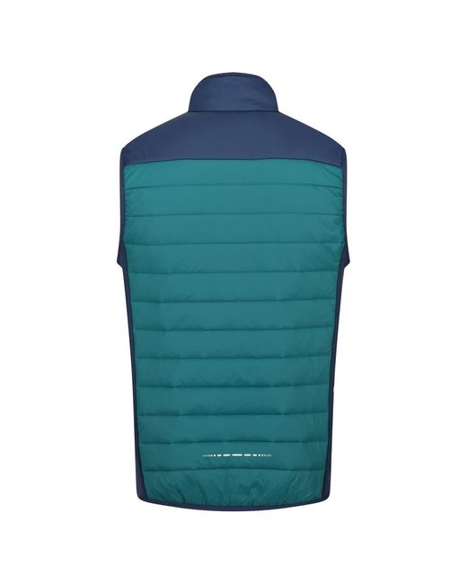 Regatta Blue Halton Body Warmer Gilet for men