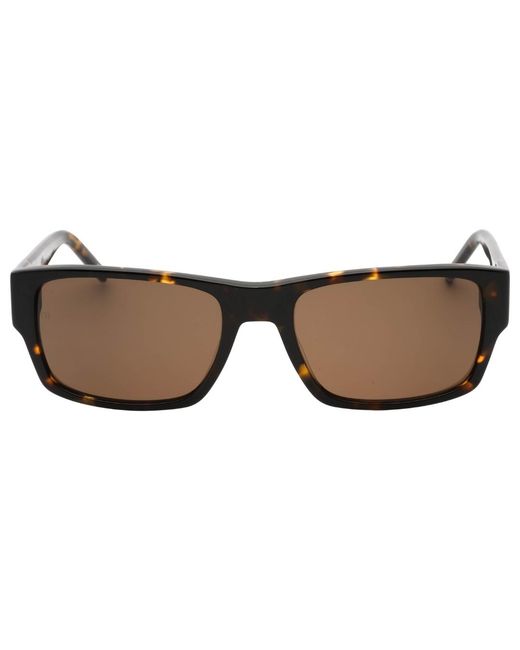 Tommy Hilfiger Brown Lens Havana Sunglasses for men
