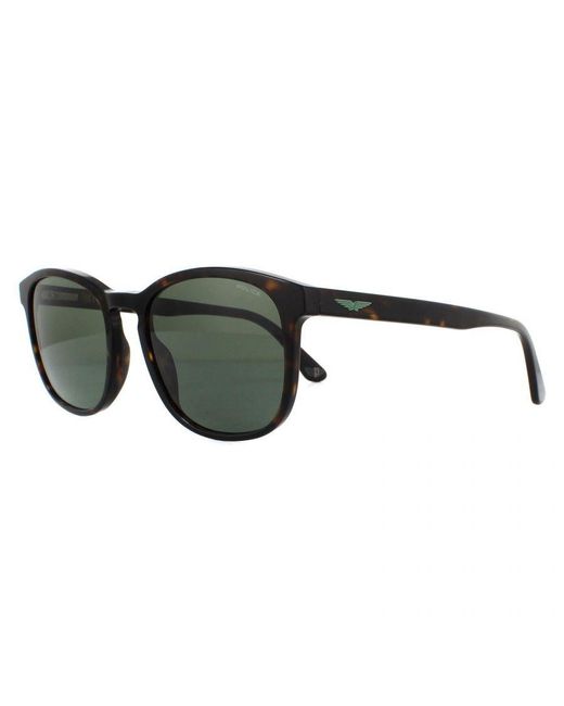 Police Green Square Shiny Havana Sunglasses for men