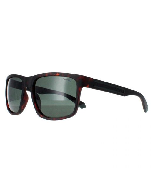 Polaroid Gray Rectangle Matte Havana Polarized Pld 2157/S for men