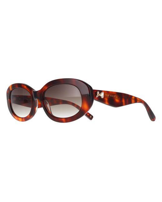 Ted Baker Brown Oval Gloss Classic Tortoise Gradient Tb1758 Daisie